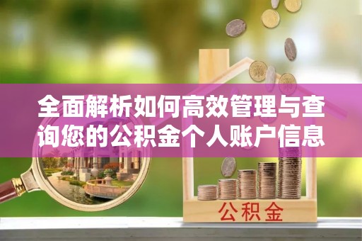 都昌全面解析如何高效管理与查询您的公积金个人账户信息